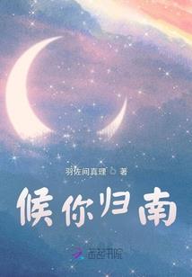 云境之颠