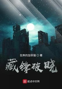 我的城市规则无限