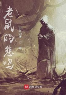 穿越之妃守城