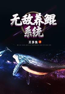 契中盟——天海之舟