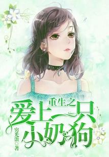 兔子诱狐狸