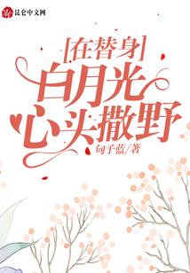 重生之都市沐哥