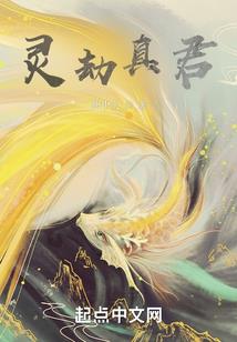 寻缘纪