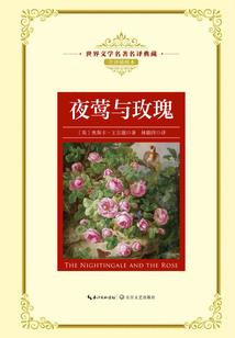华娱之功夫巨星
