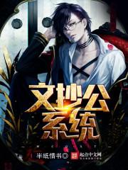 魔法骑士录