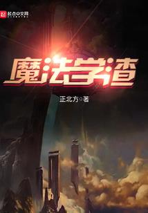 银狐之梦