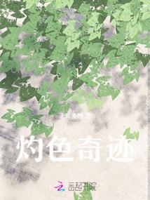 华炎之史王岳传