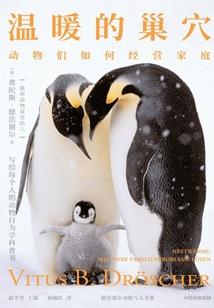 这个世界大猫横行