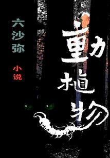 末世进化风暴