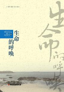 一扇遮天