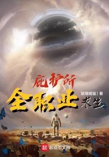 你看到我的系统了么