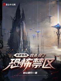 遇见你的繁华锦世