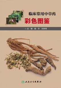 我自独步逍遥