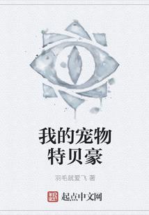 时光初见之守护莉雅