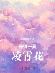 海贼王之纵横大海