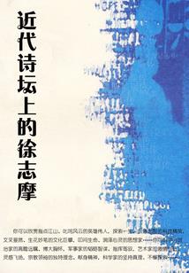 沐先生知你情深