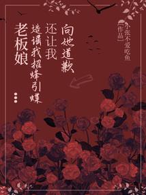 追寻赵娘子