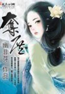 功夫小强