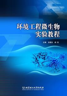 最强妖精系统