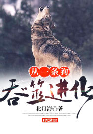 女配进化论