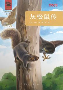 灵探解密
