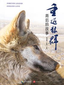 入梦之时