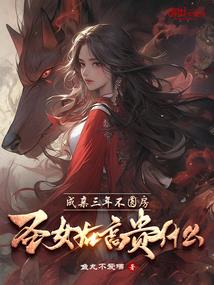 神奇宝贝之巅峰之战