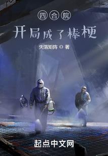 重生之佣兵司令