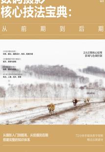 舞动宫廷