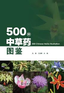 小样儿电你丫的