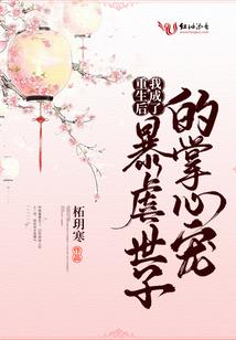 海豚听风