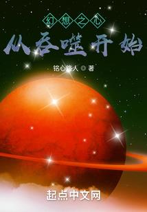 沐卡拉王国之飞鸟传