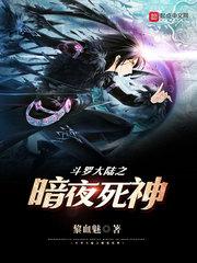 神奇宝贝之血凤