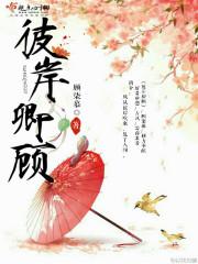 大明盛世之布衣风云