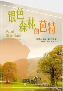 何家桥传