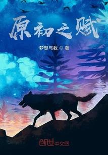 网文系统