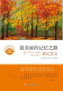神奇宝贝之我名为叶