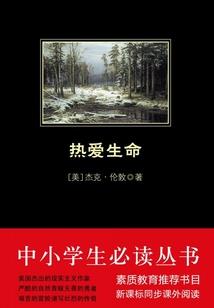 穿越之武者召唤师世界