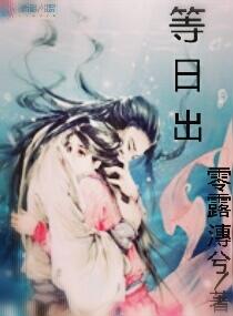 半吊子武侠传