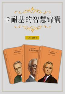 涅槃之剑神无双