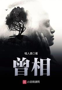 乱世飞贼