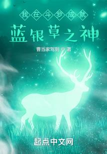 重生之毒妃当道