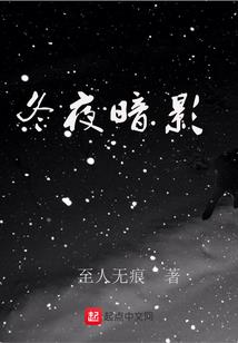 伪法者